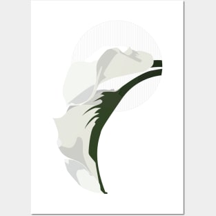 Flora Vignette: Calla Lily Posters and Art